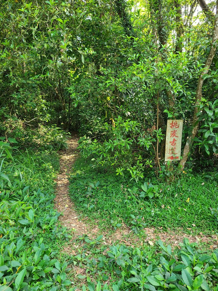 挑炭古道(三通嶺古道)+慈濟山步道_2780430