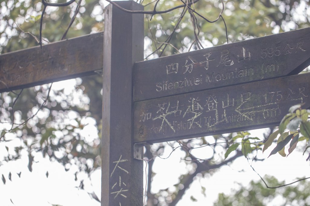 五色風馬旗海-四分尾山(天道清修院起登)_2106792