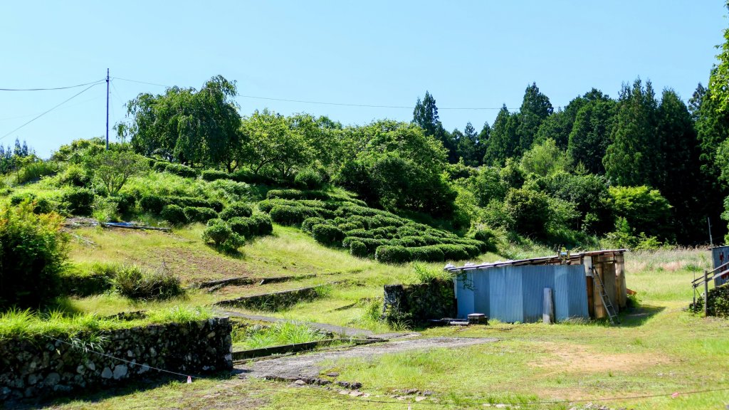 熊野古道_2807310