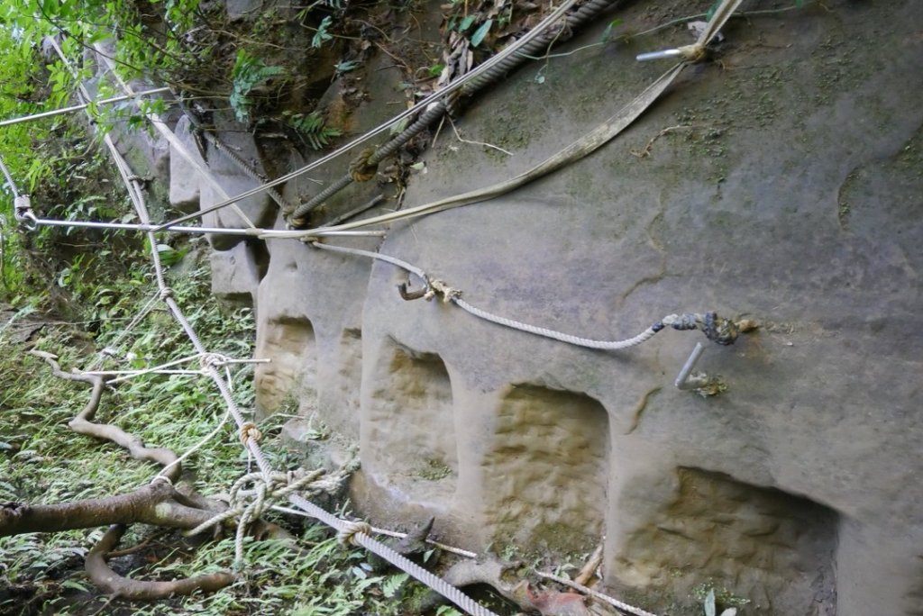 瀑布 樹陰 軌道與貓_1277518