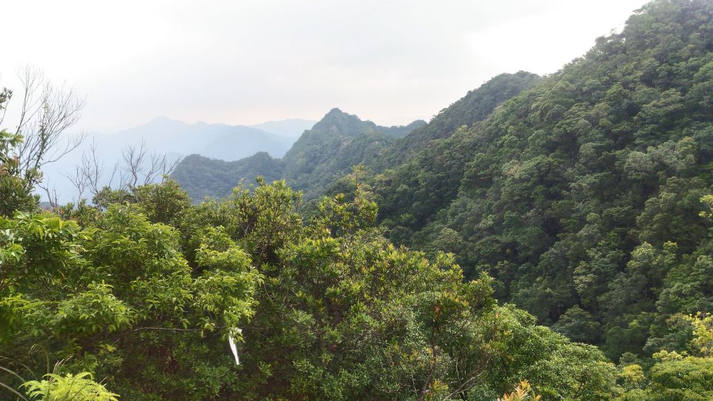 前往皇帝殿拉!!!_177983