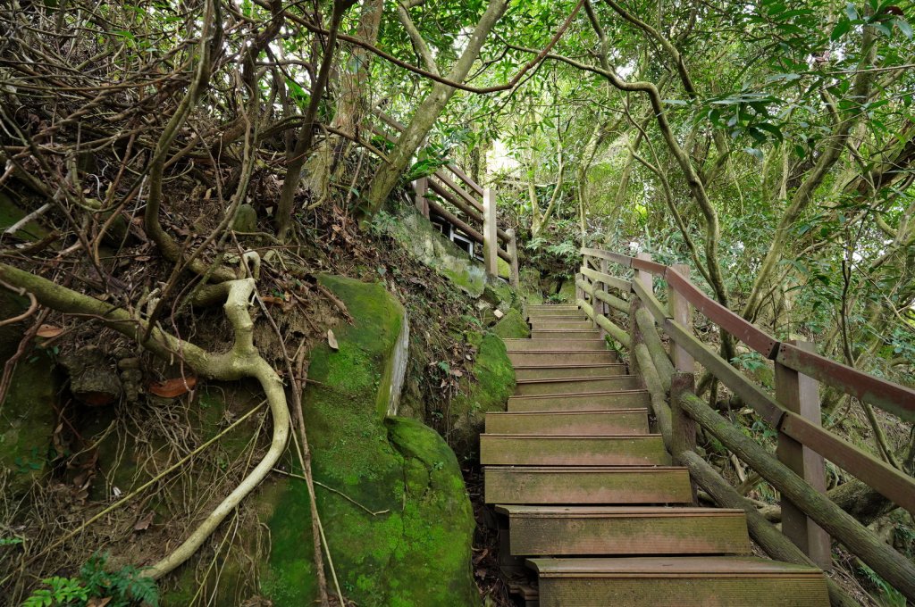 新北 中和 南勢角山、五尖山、牛埔頭山、外南勢角山_2437805