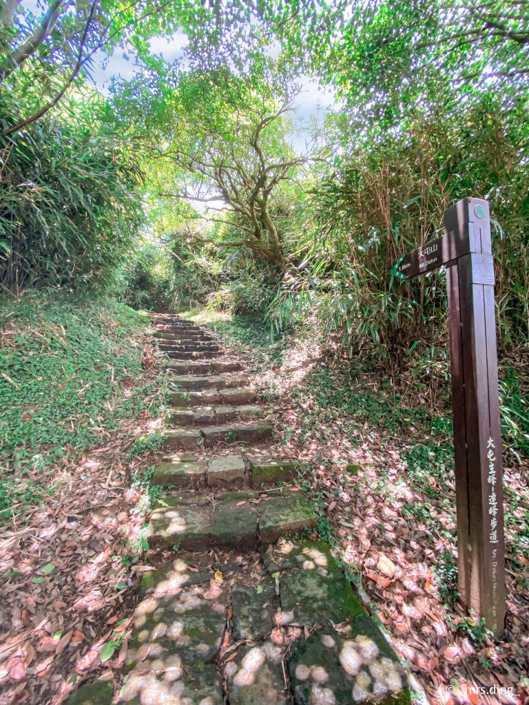 ＜小百岳＞台北市．大屯主峰步道_1029914