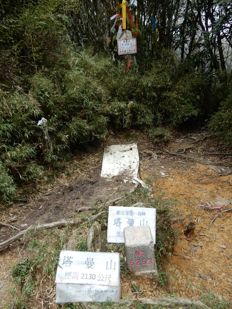 20171024_拉拉山神木群+塔曼山_193824