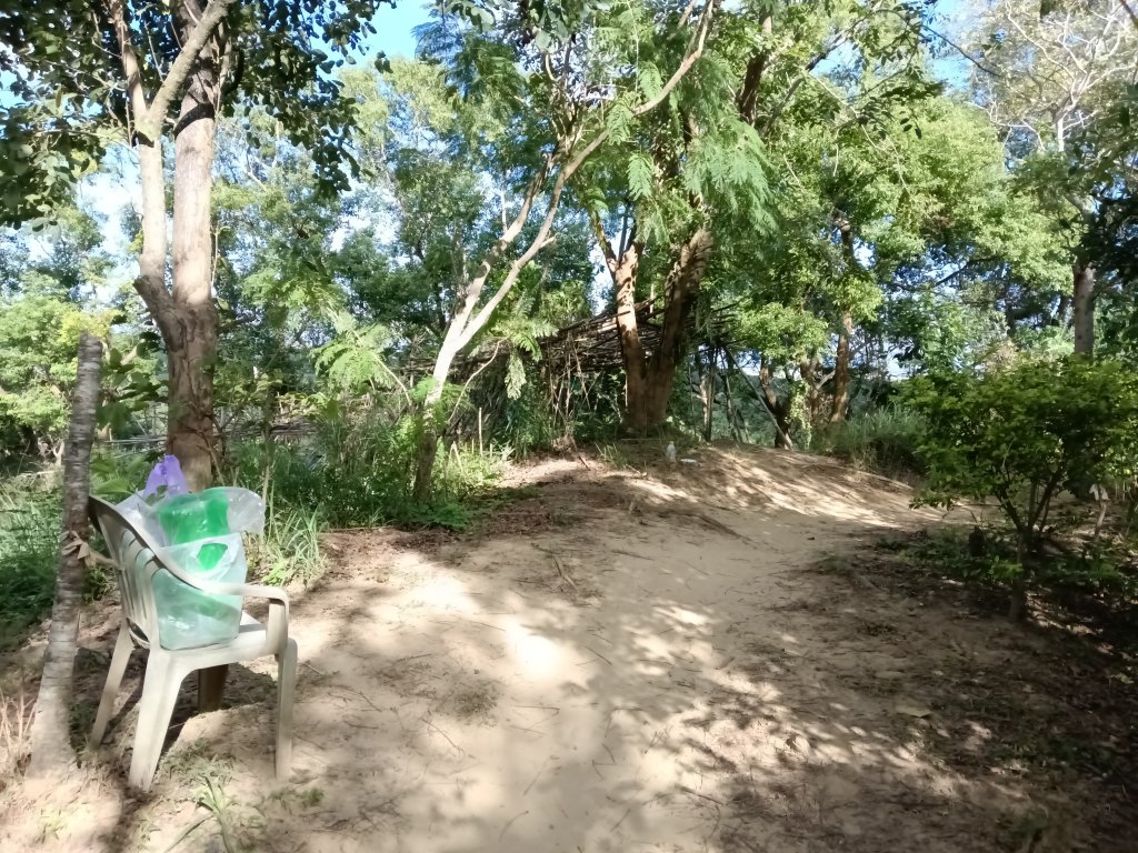 造橋鄉口山步道(老庄山+菜瓜窩山+造橋口山)_2933719