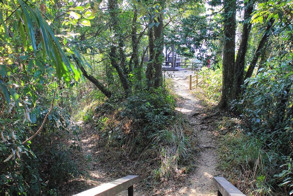 南庄勸化堂_獅頭山Ｏ型_302639