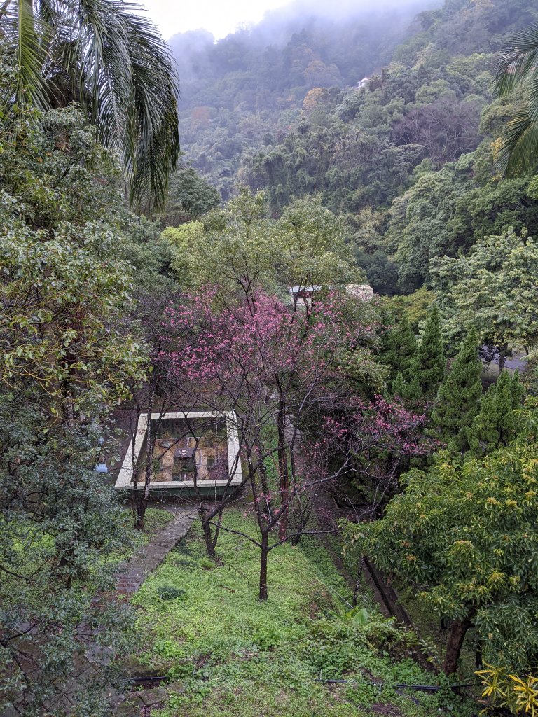 【苗栗-小百岳】即心是佛 獅頭山_819836