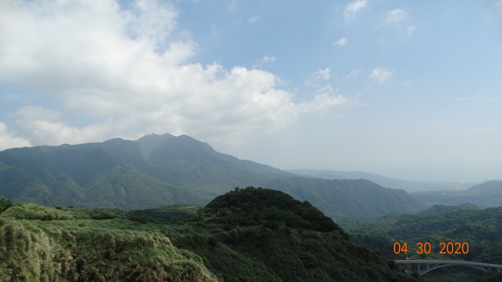 陽明山賞蝶趣_940615