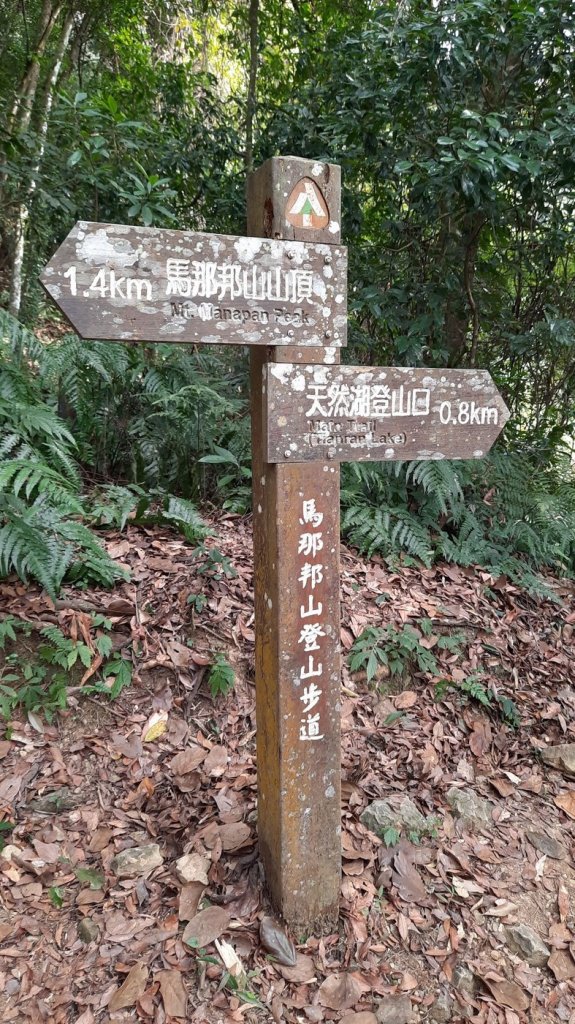 《苗栗》馬那邦山｜ 上湖線＞天然湖O巡20210220_1277429