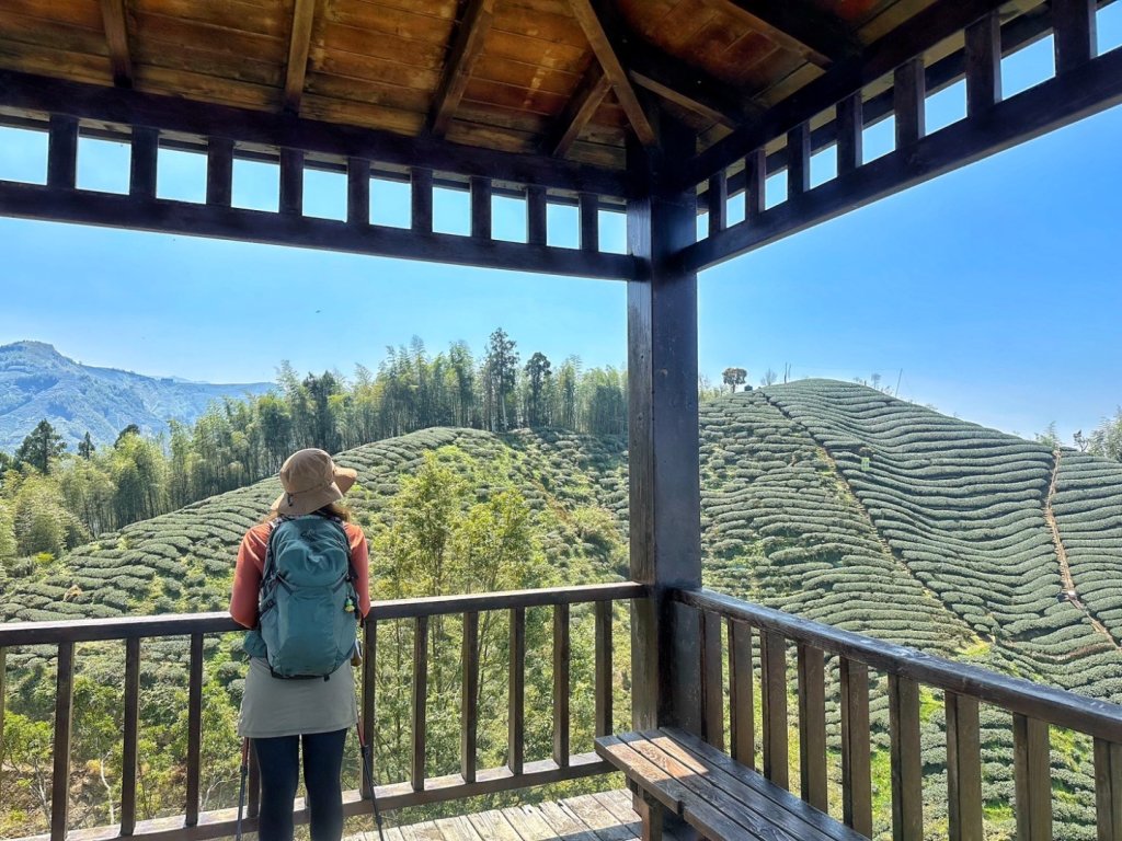 溪頭六連峰O繞_2741721