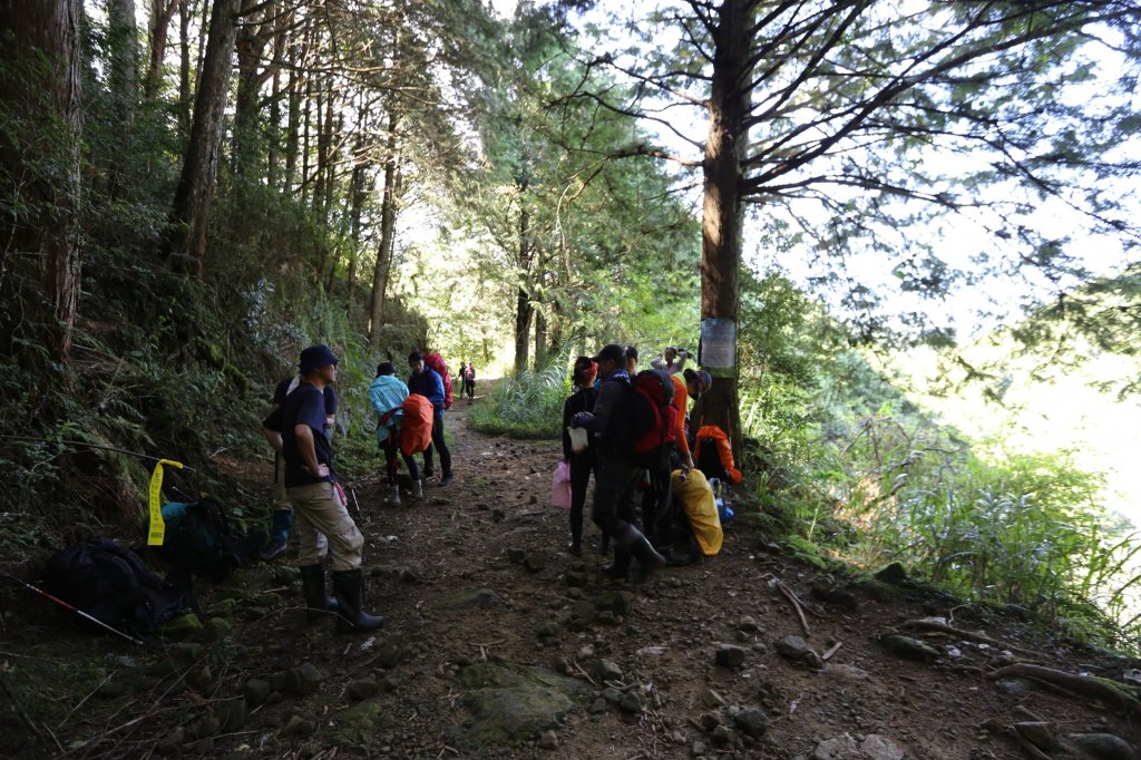 水樣森林 第一次在山裡過夜_659008