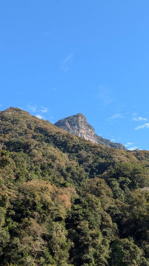 虎山步道封面圖