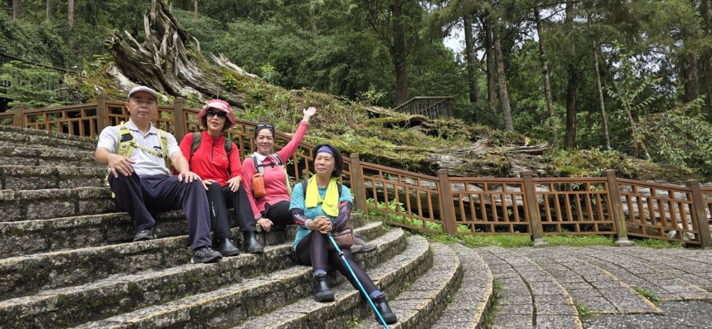 溪頭鳳凰林道_大學池_20240801_2577735