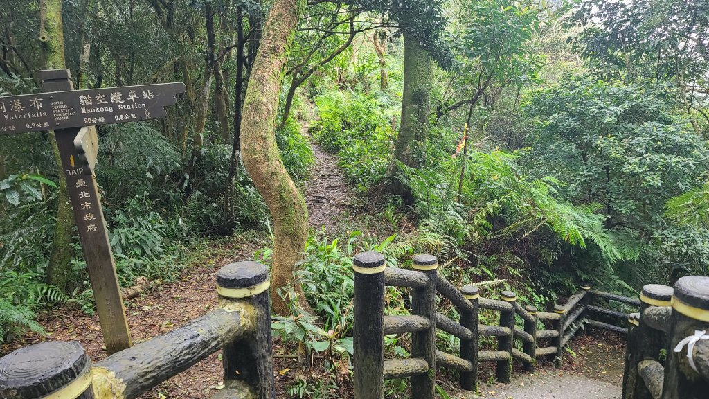 2024-0224大香山-鵝角格山-貓空纜車-茶山古道到政治大學_2437548