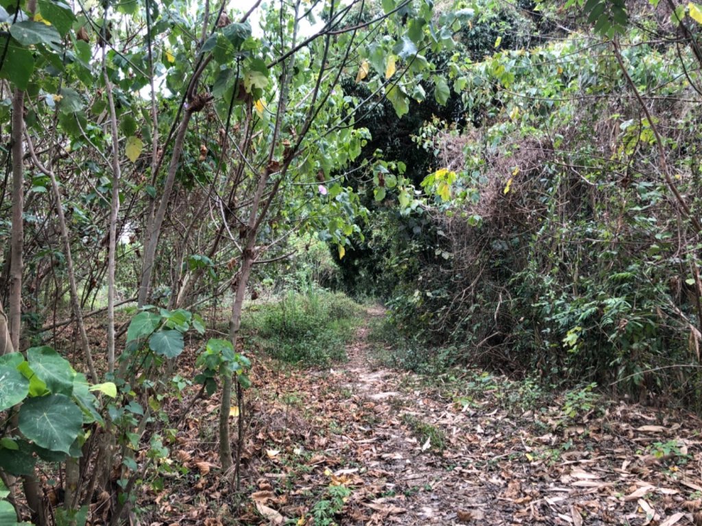 台南市安定區、安南區、南區、歸仁區土地調查局平地基石。管寮、五塊厝、九古、後埔、北子_1637514