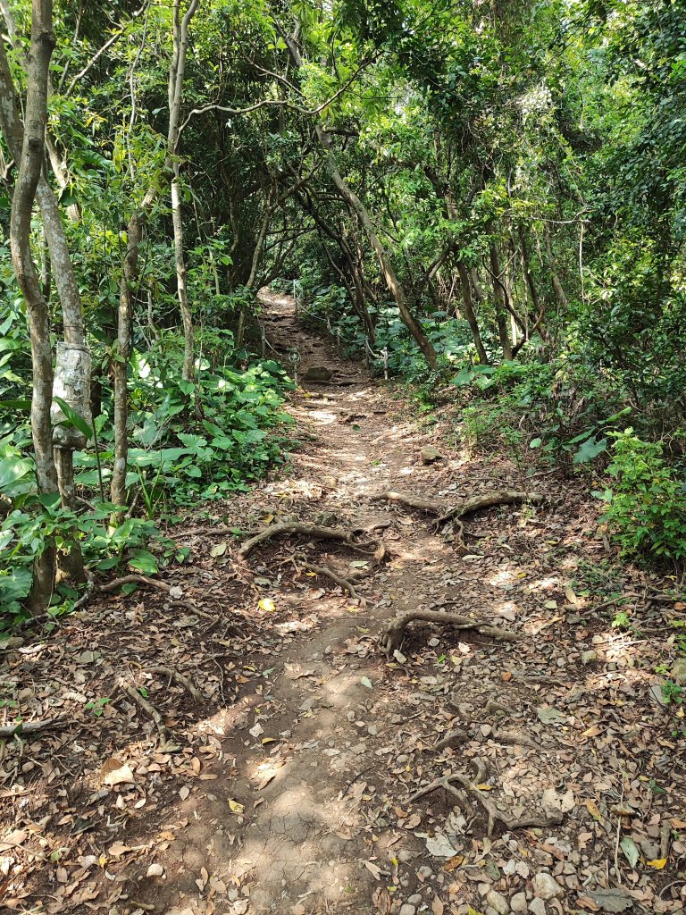 臺北大縱走第一段：關渡至二子坪_2790225