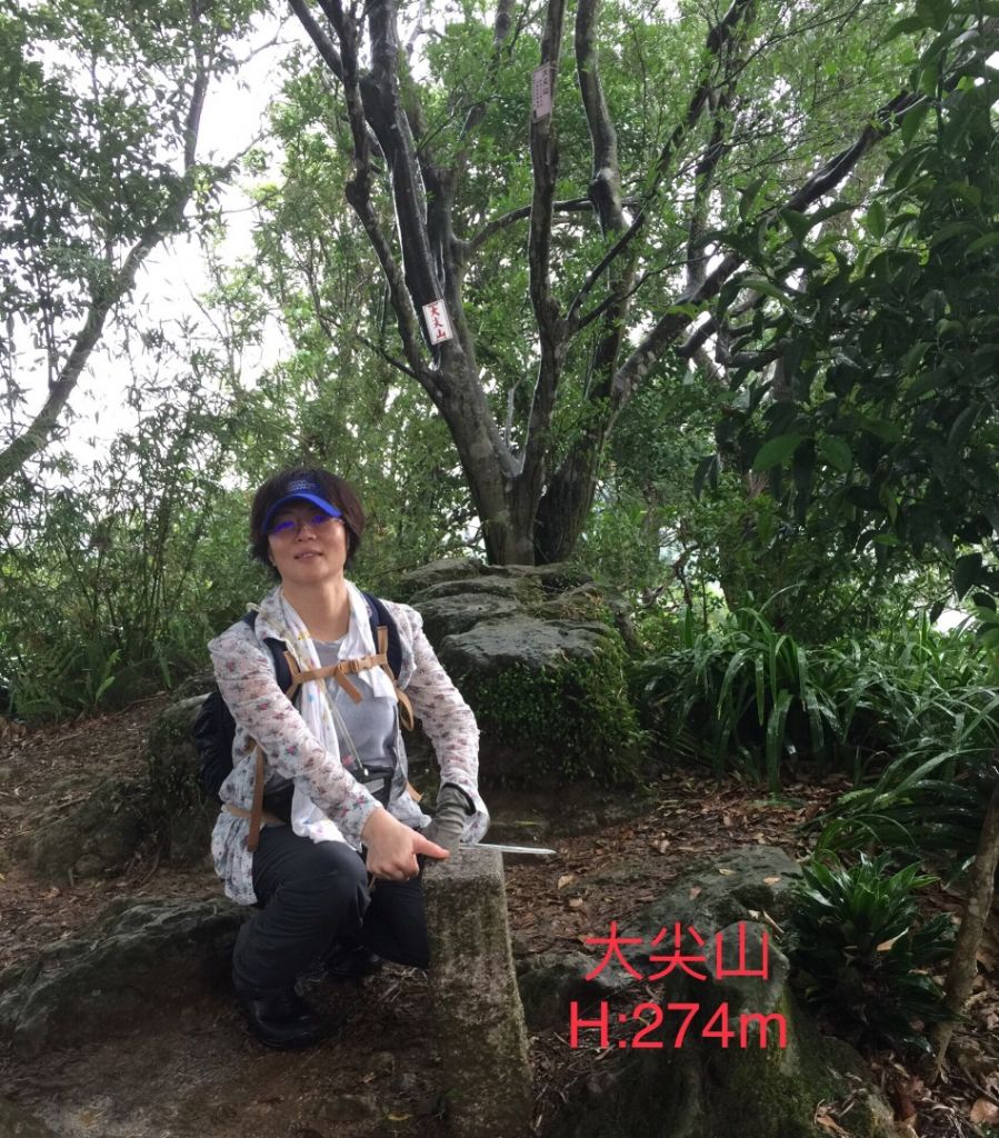 景安捷運-國旗嶺-長壽嶺圓通寺牛埔頭山_395970