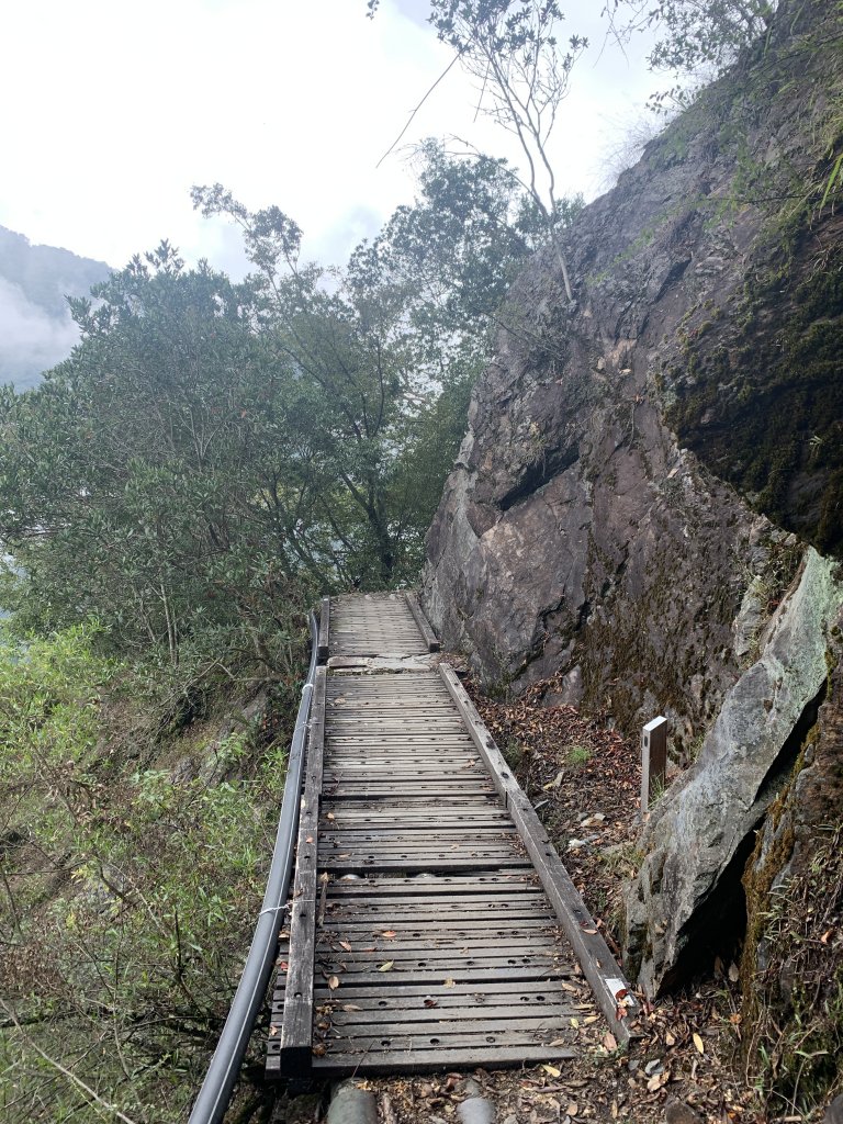 202八通關古道(東埔到雲龍瀑布段)_1143259