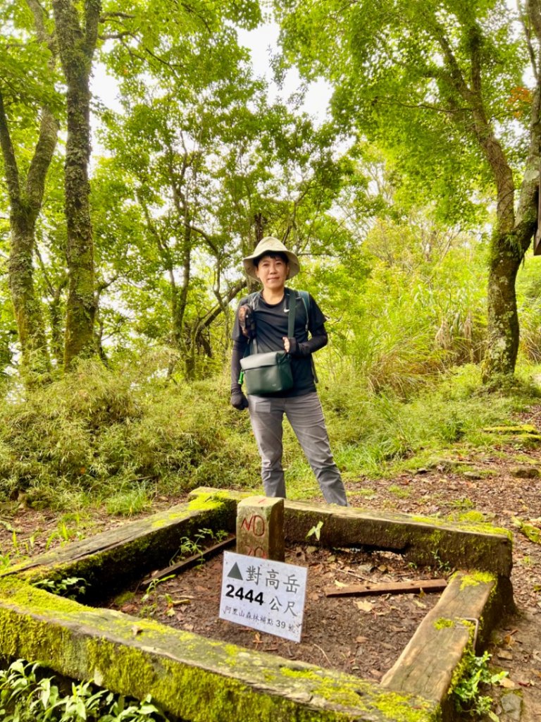 來阿里山大口呼吸～對高岳步道_1756613