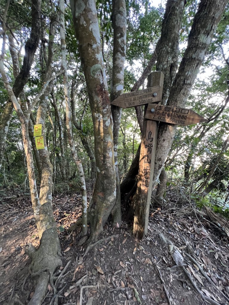 【鳥洗縱走】_1900367