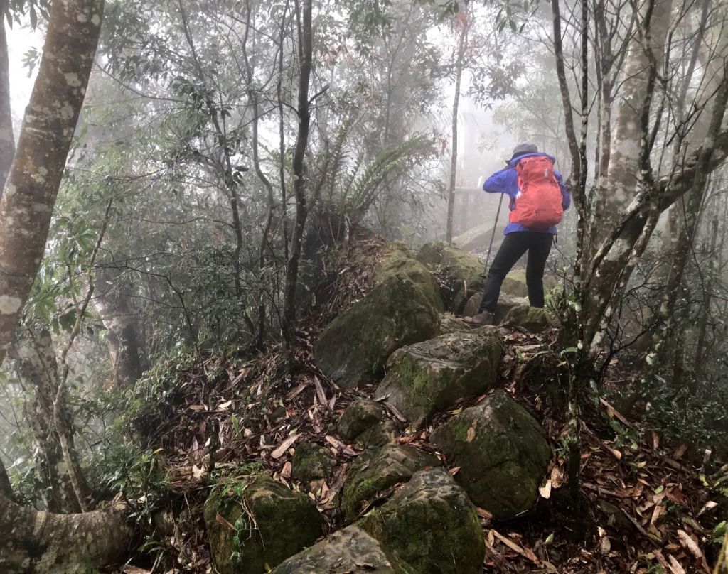 青山常在 九份二山_293074