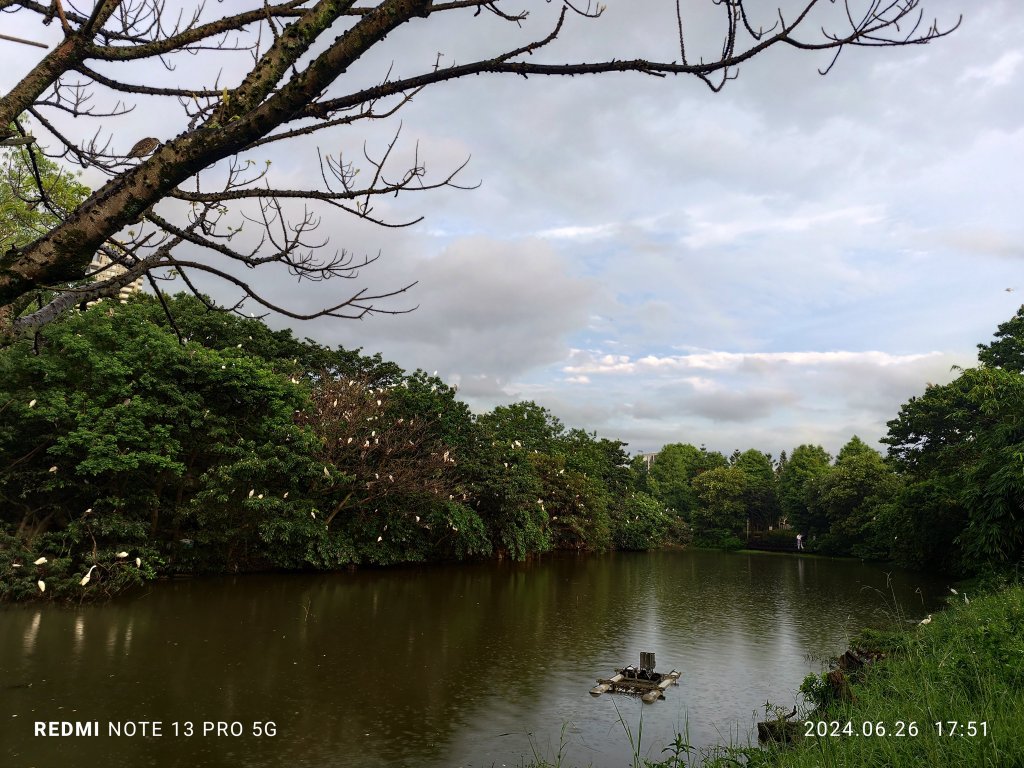 大安森林公園、寧夏夜市、士林夜市【走路趣尋寶】【臺北健走趣】_2536332
