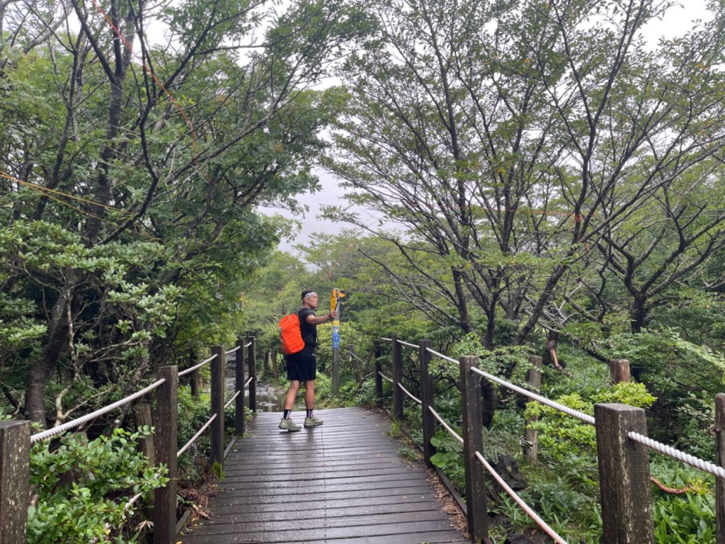 1140811 KR 漢拏山杜鵑花田避難所-紗羅岳觀景臺_2860171