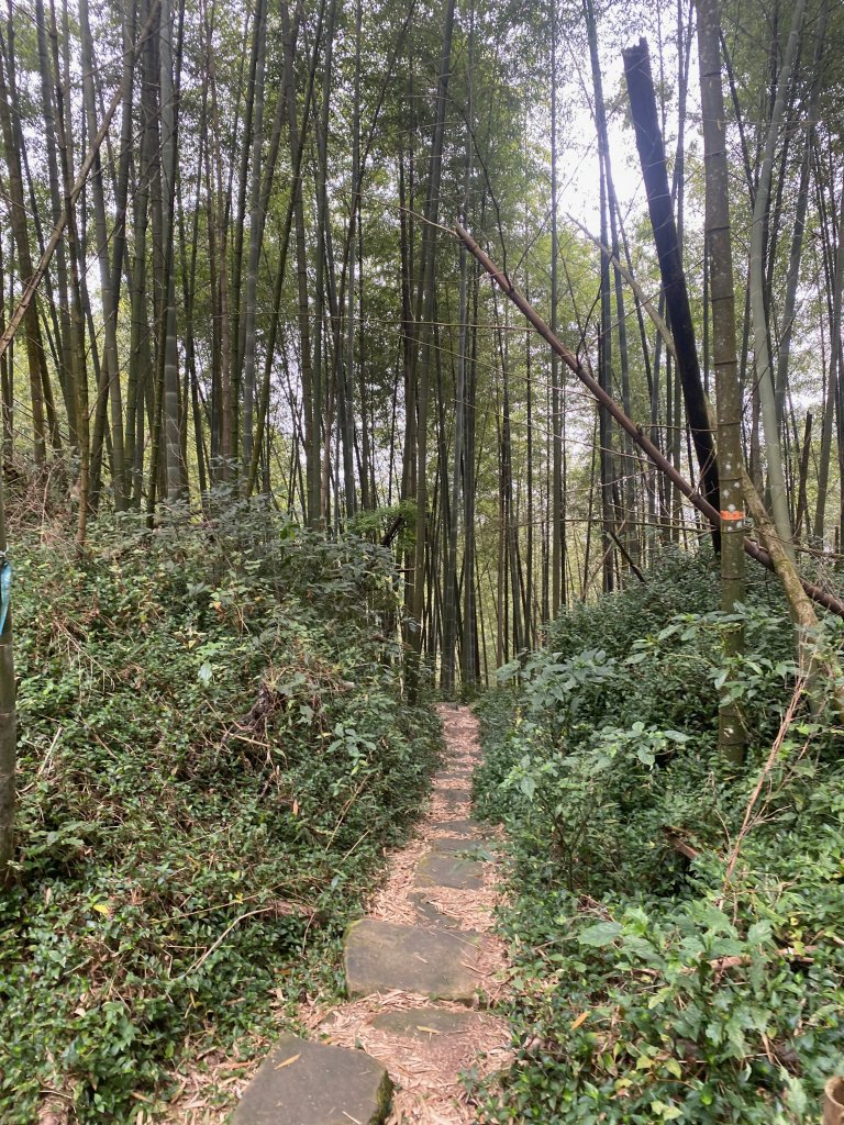 1120329奮瑞古道_2643498