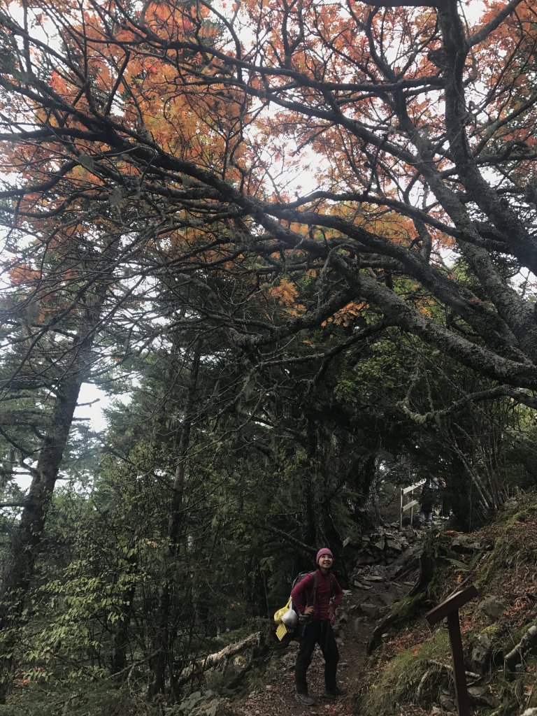 雪山 不下雪_533082