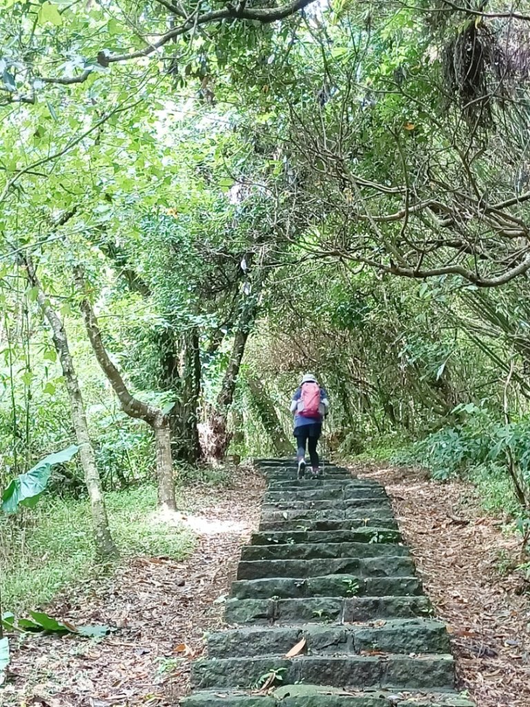 中正山群峰-20240915_2601570