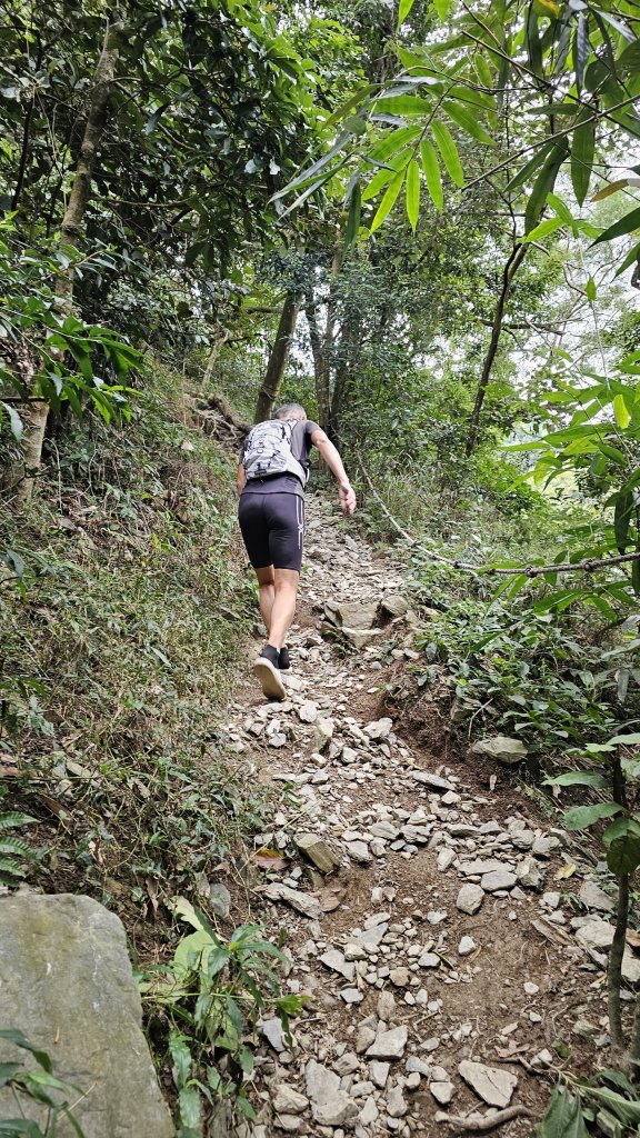 【錯過昨天的約定，今天用腳步致歉】⛰️尾寮山的魔王氣場依舊強大_2952102
