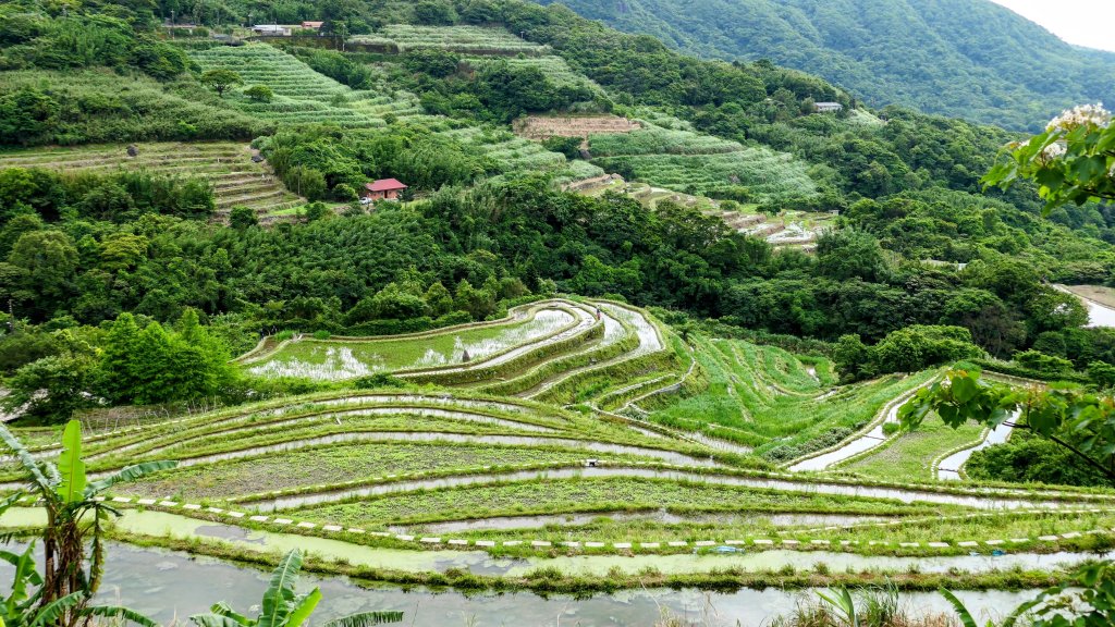 北海岸。良率_2783406