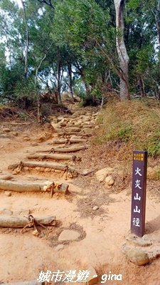 【苗栗三義】台灣百大必訪步道。 火炎山、南鞍古道O繞x火炎山下花海_2954154