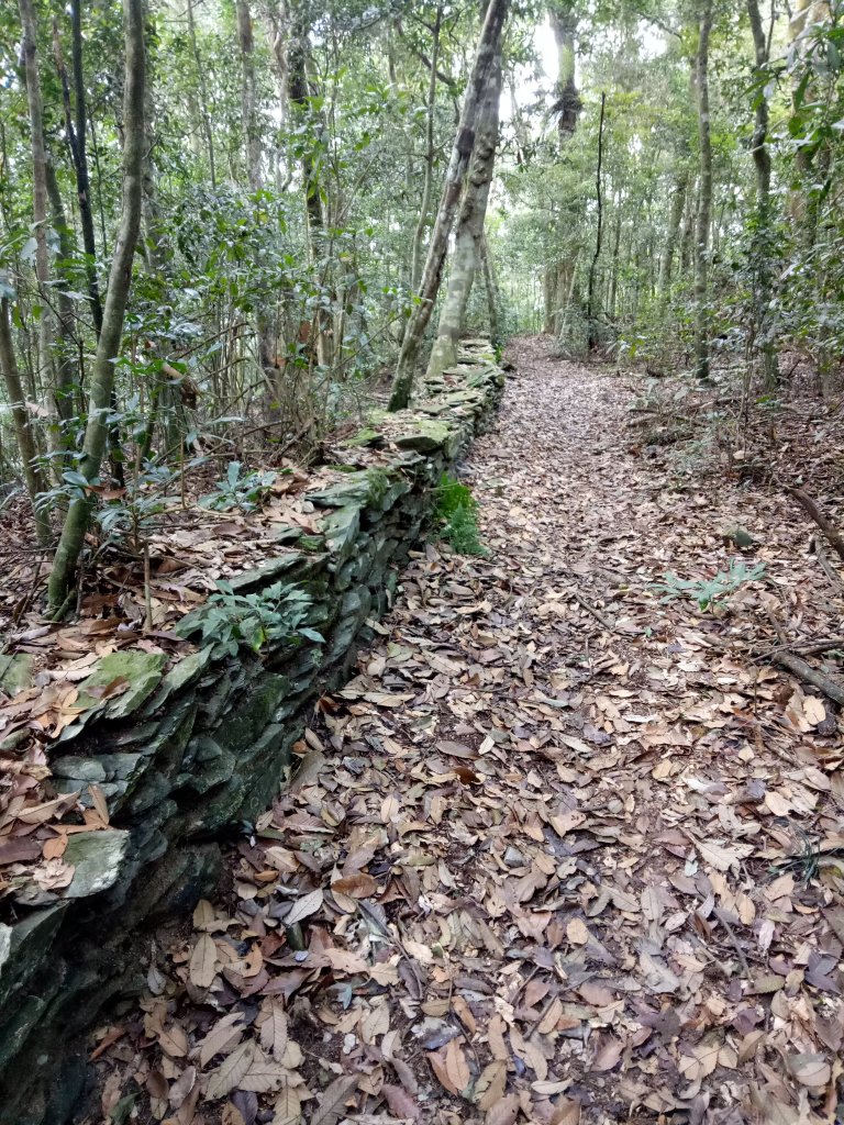 鳴海山封面圖