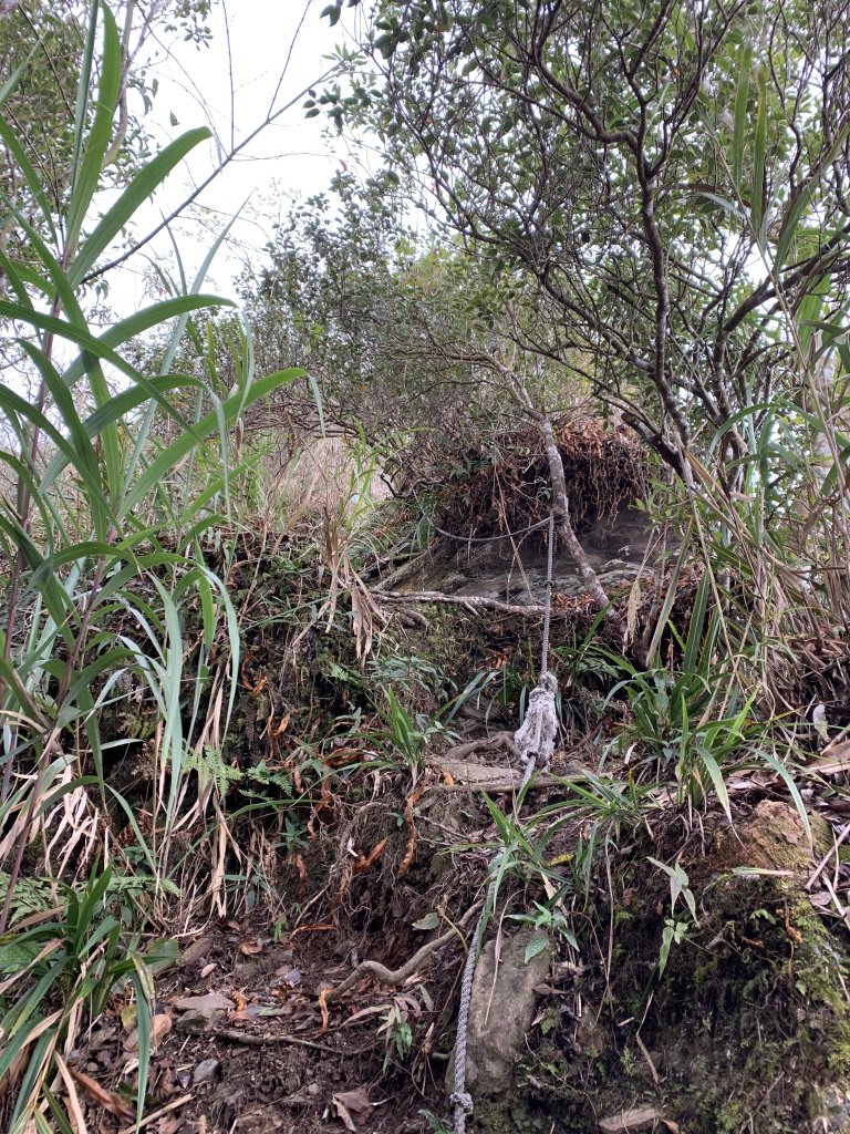 20240212屏東鱈葉根山-日湯真山縱走_2431728