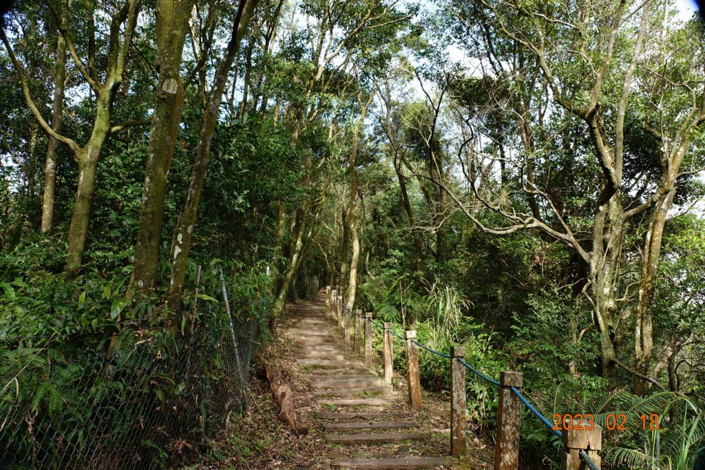 新北 新店 獅仔頭山_2035980