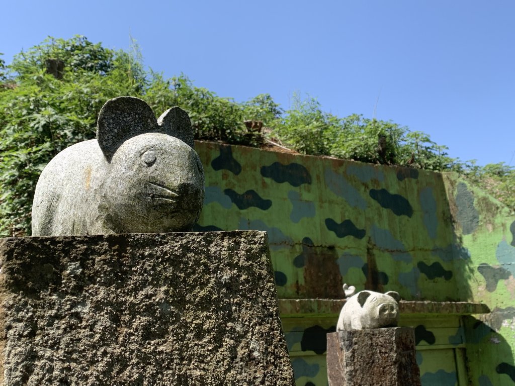 20250322南投松柏坑山-大棚山_2745891