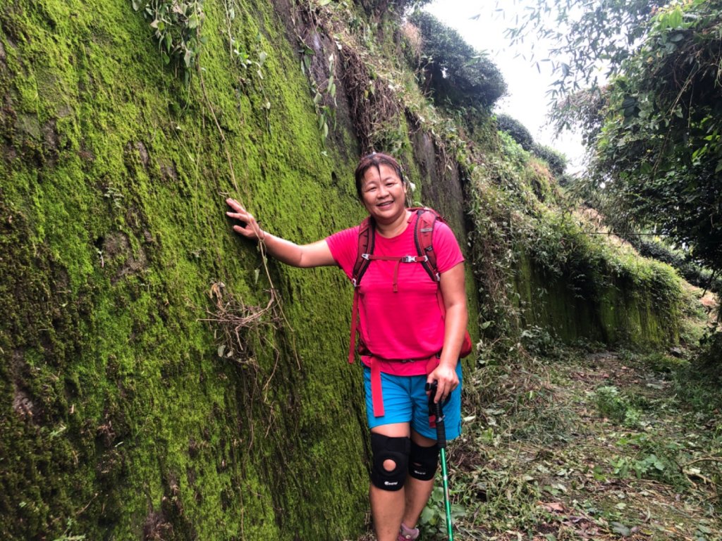 後棟山經挑筍古道上大尖山再走樟湖山_1100367