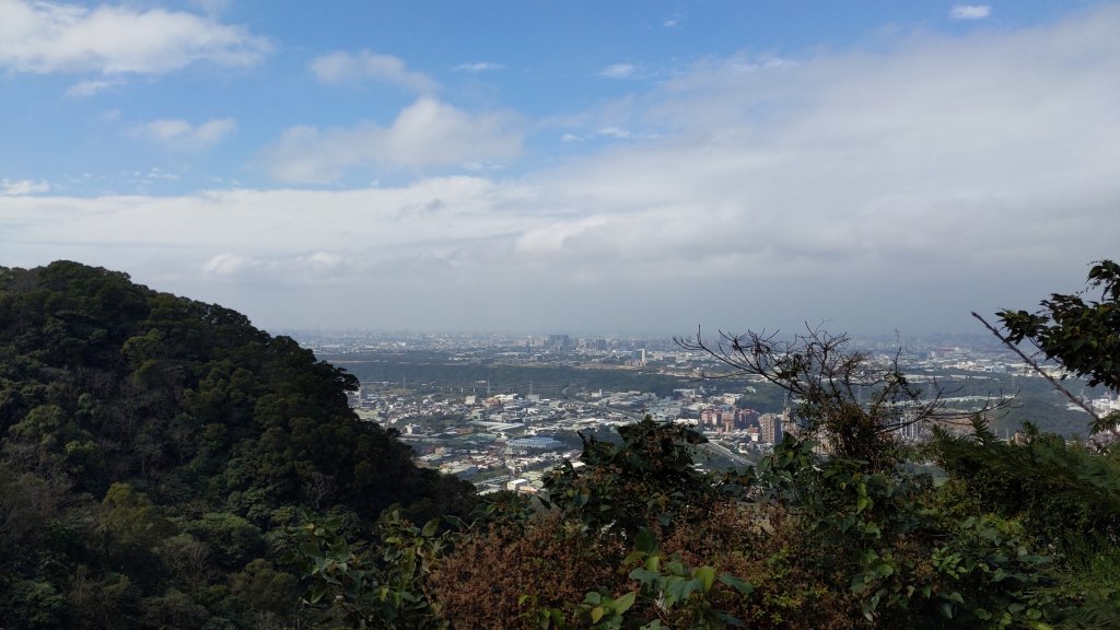 20230120_三峽_鳶山登山步道_五十分山封面圖