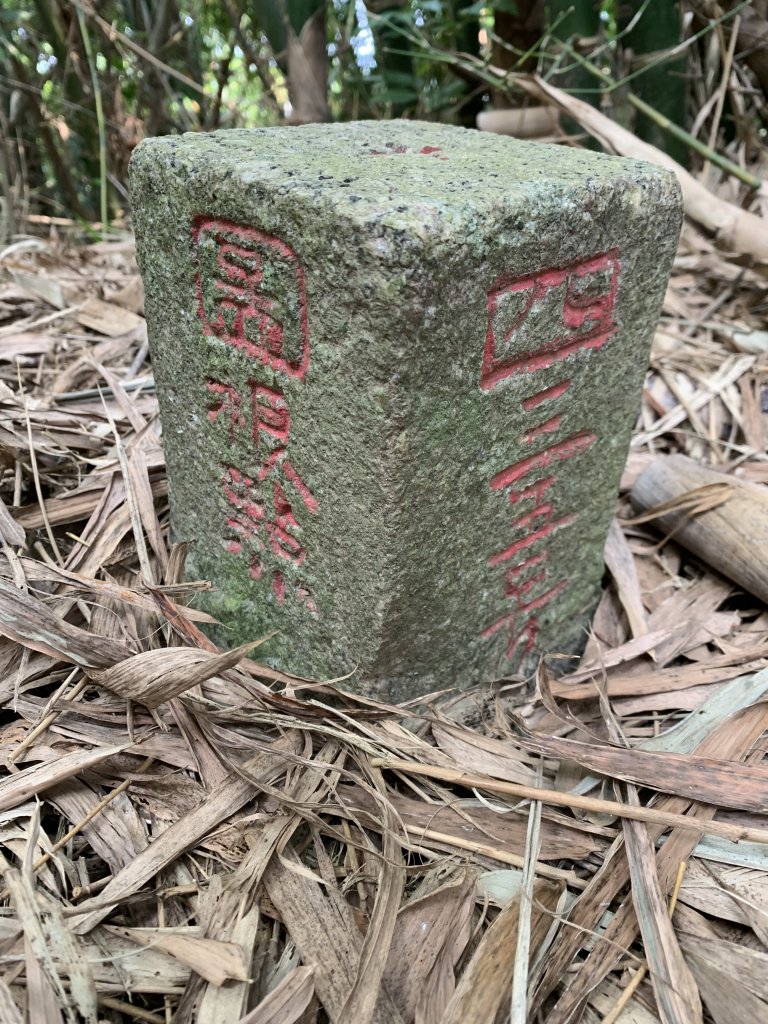 20250929台南馬草山_2899806