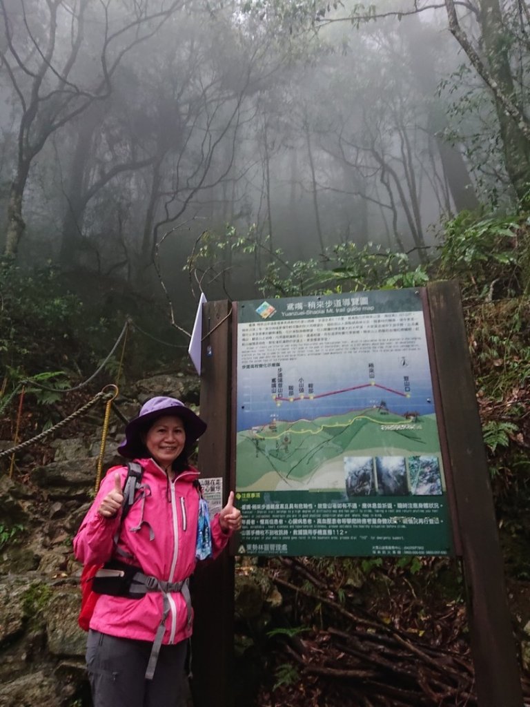 橫嶺山、鳶嘴山O 走_1660993