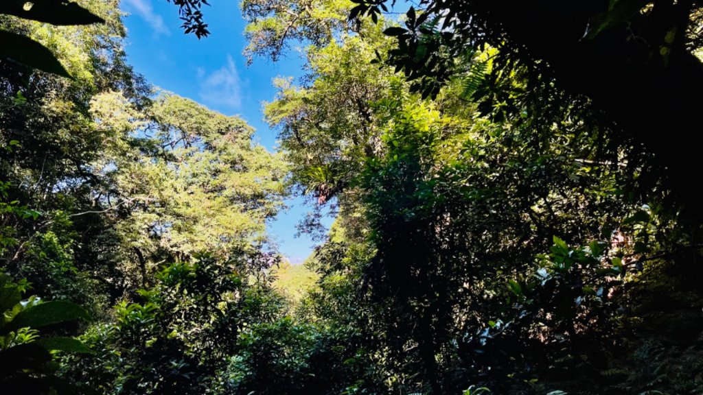 1101010拔刀爾山.美鹿山_1485171