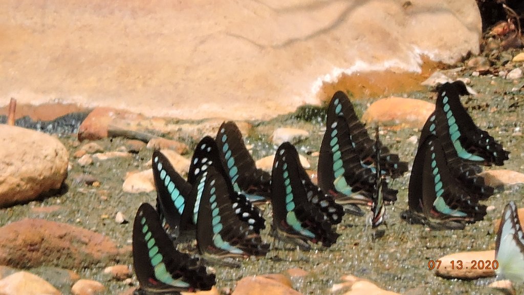 就是喜歡這個藍天白雲的FU_1032019