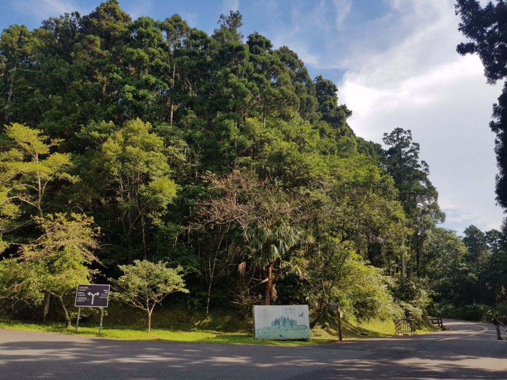 東眼山森林遊樂區_178098