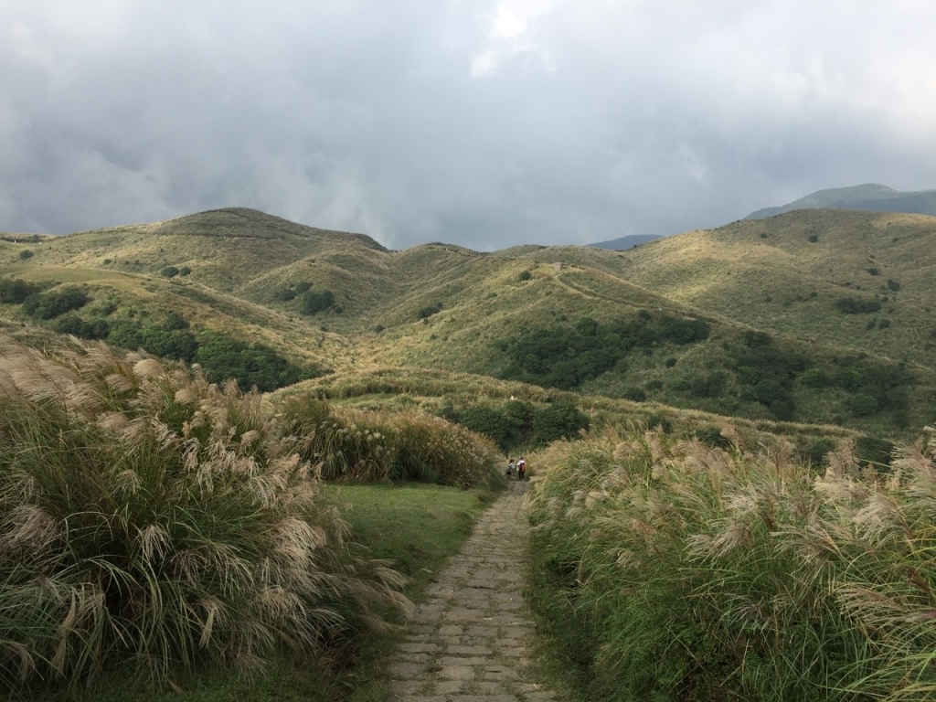 陽明山國家公園~磺嘴山、翠翠谷_2941