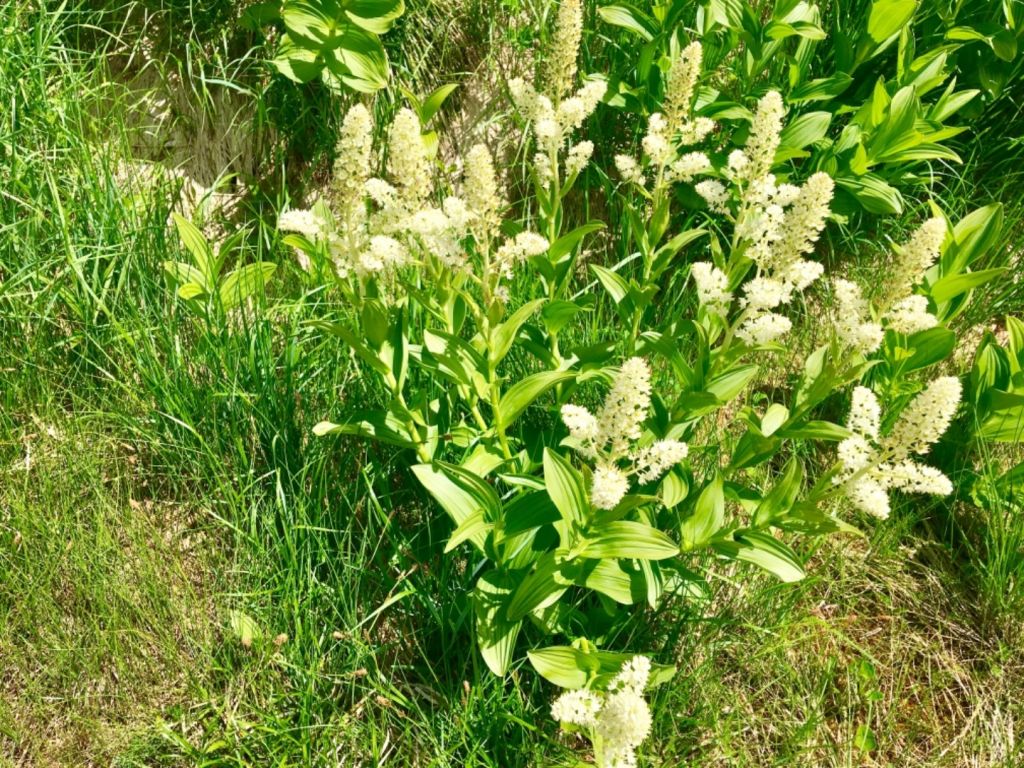 1070727立山黑部_375150