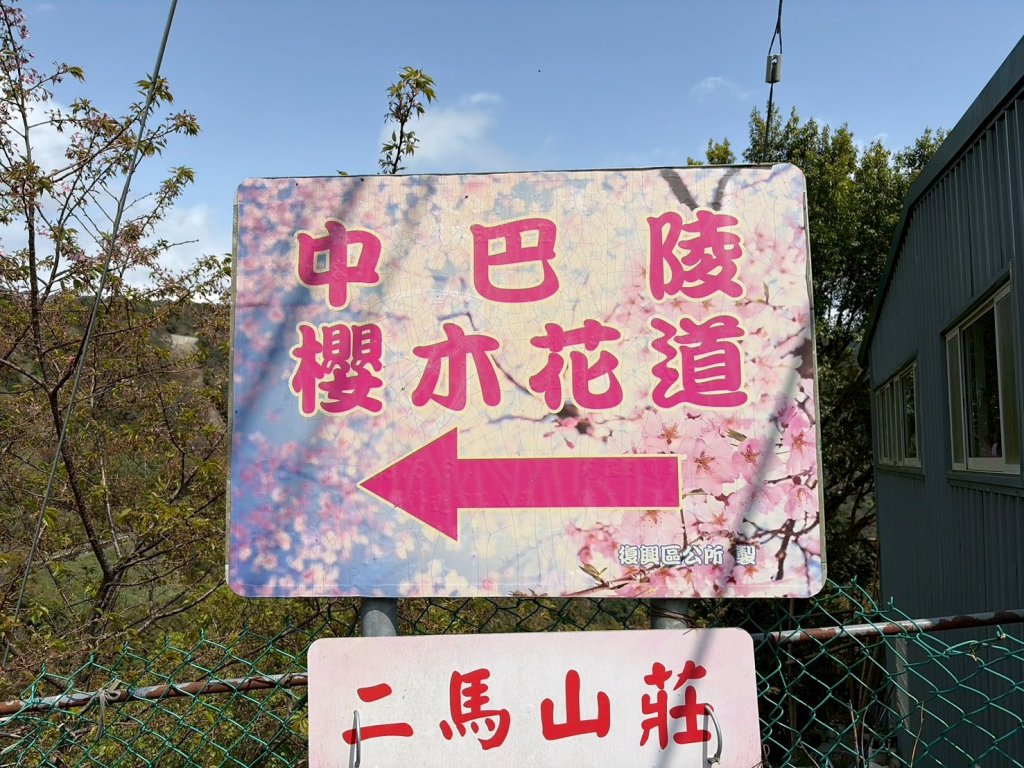 桃園 復興 中巴陵 櫻木花道封面圖