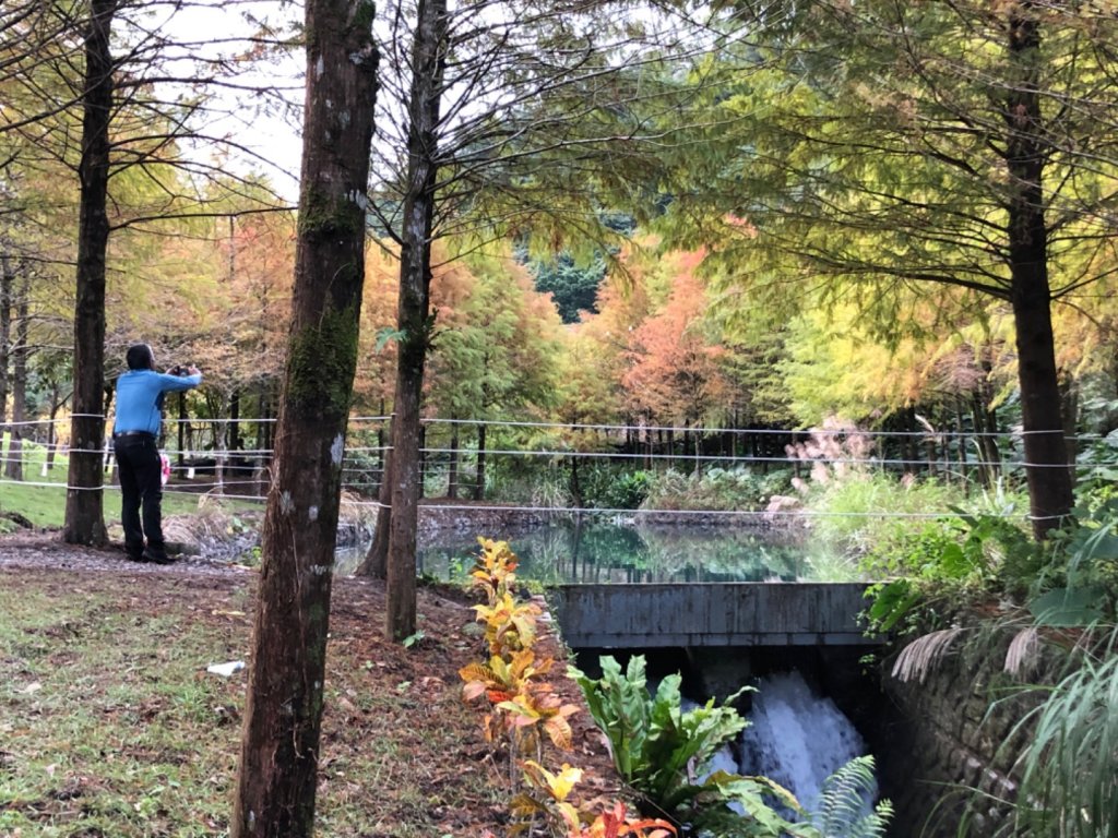 宜蘭大礁溪三層坪_1544816