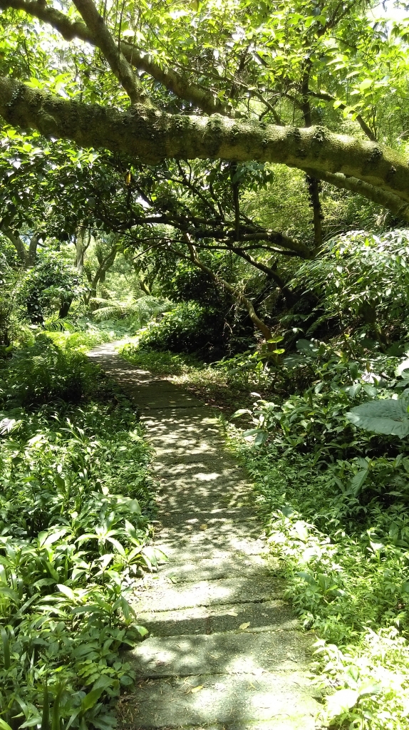 太極嶺-五城山-文筆山105.05.13_51353