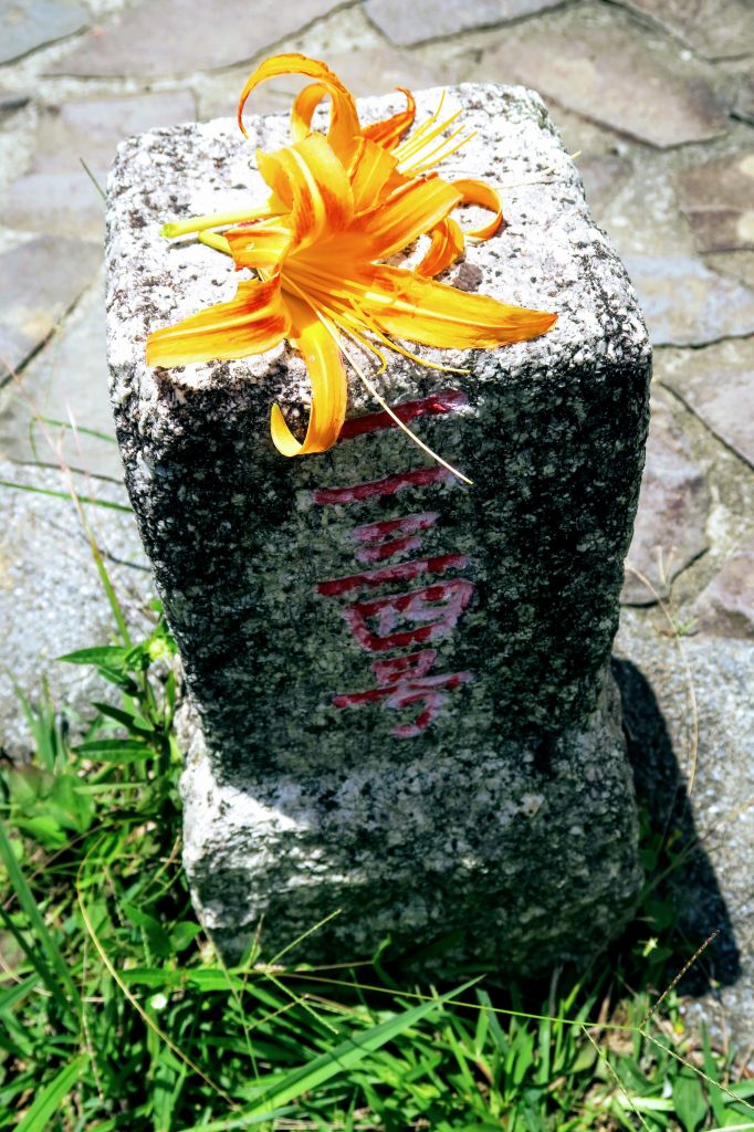 更寮古道土庫岳_392171